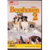 Beethoven 2 (DVD)