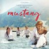 Mustang (DVD)